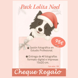 Sesiones de Navidad (Cheque Regalo) PACK “Lolita Noel”