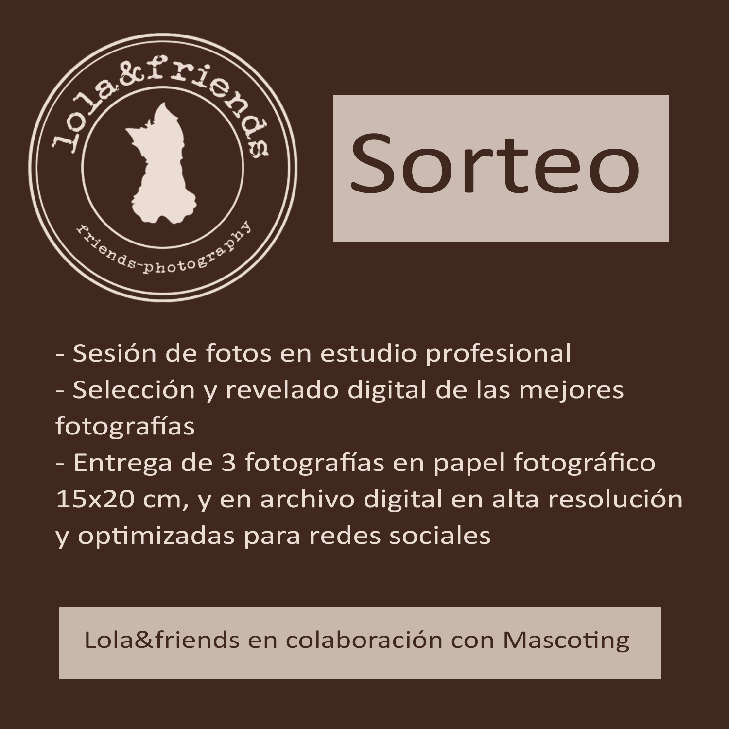 Sorteo de Fotografía Profesional